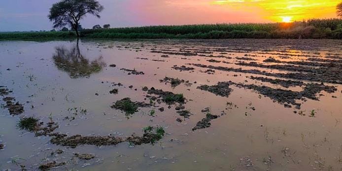 Yamuna water is moving towards milestone 144 of Yamuna Expressway