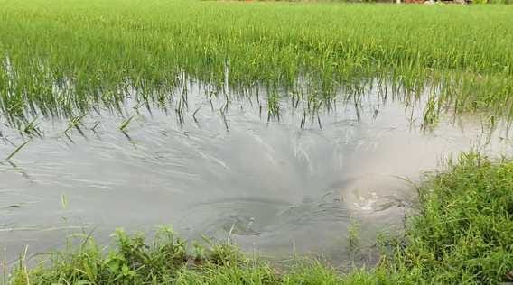 Farms washed away by the flow of Yamuna