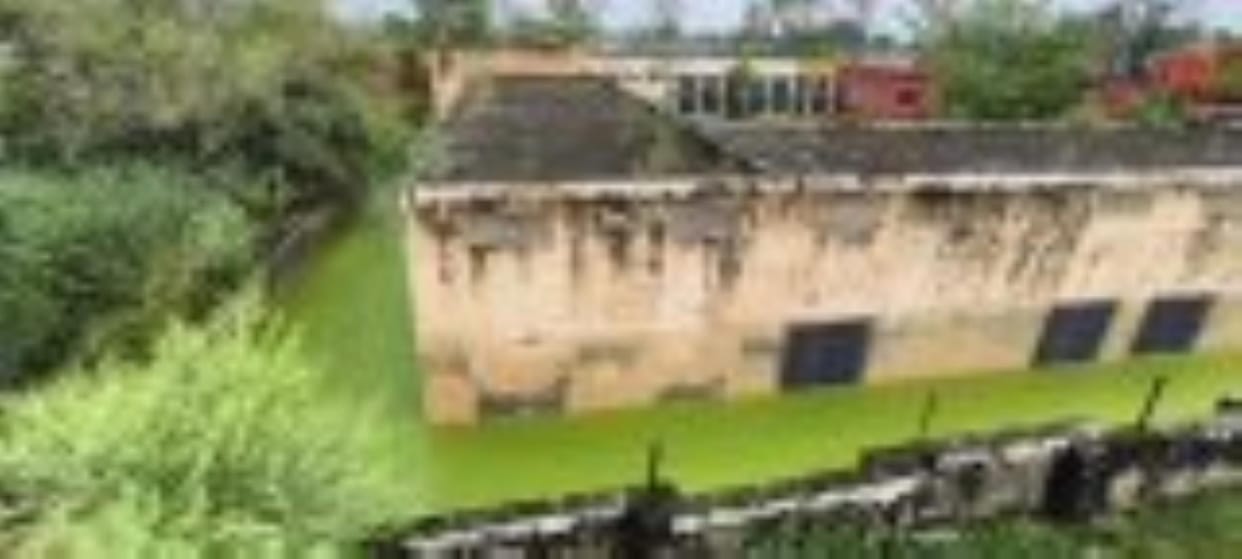 Waterlogging up to four feet in three schools of Aryanagar