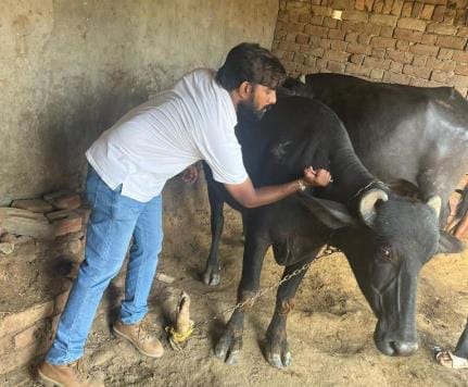 38 teams deployed to prevent diseases in animals, health workers' vacations canceled.