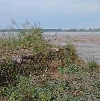 Yamuna water is at danger mark, administration's claims proved baseless