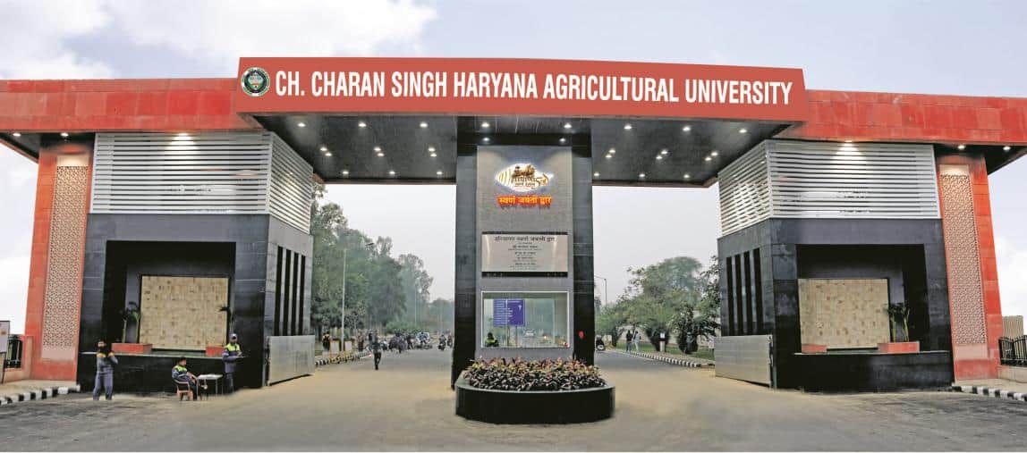 Agriculture officials from across state to gather today; workshop on Rabi crops at HAU on September 9 and 10