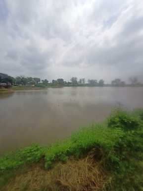 There is no relief for the affected land, 60% solar pumps are not working