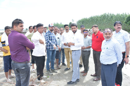 Two and a half lakh sacks were planted to prevent erosion