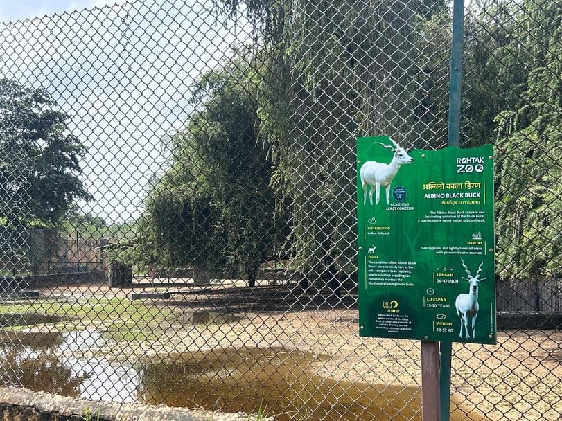 Waterlogging in the zoo has troubled animals and tourists