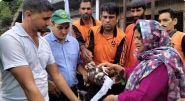 एसडीआरएफ ने राजोेरी में ऊँचे चीड़ के पेड़ पर फंसे बाज को बचाया