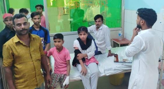 Dogs bit 12 people in Laharpur