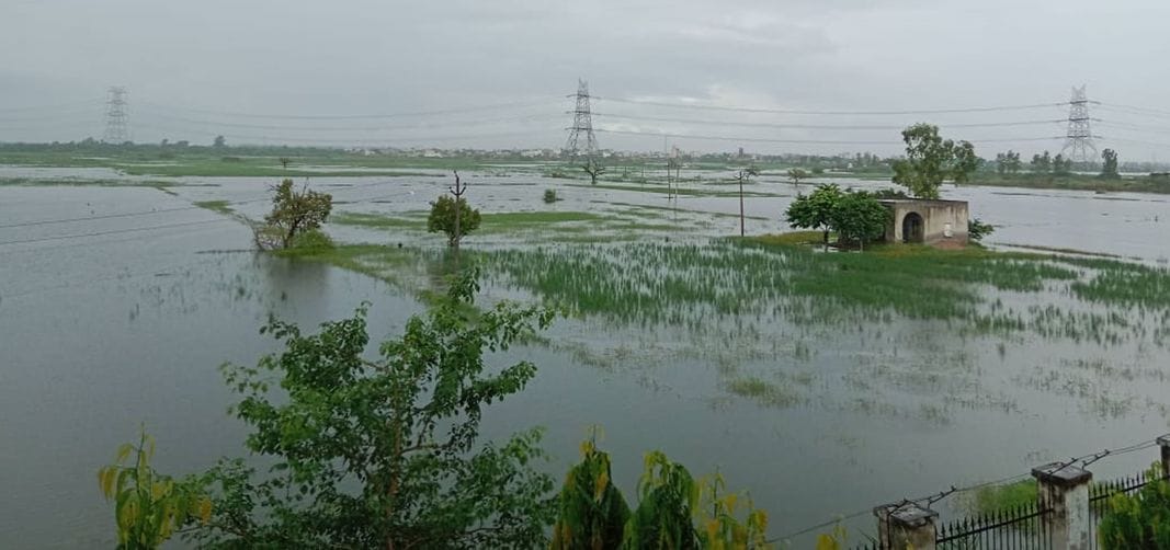 You can file a report of crop damage till 15th