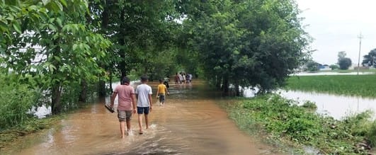 More than 60 thousand acres of crops submerged in the flood of Markanda, a young man died due to drowning