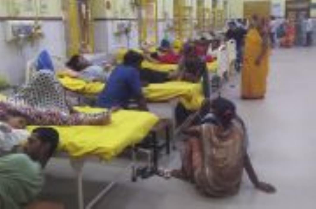 800 patients of fever reached OPD, 28 admitted