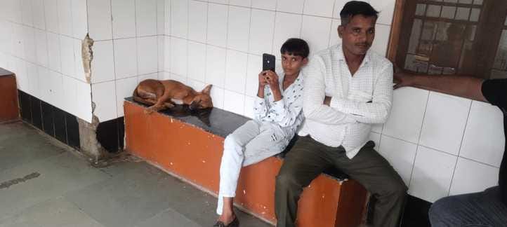 firozabad news dog threat hospital