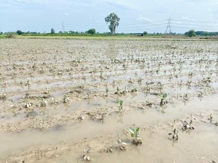 Water level in Yamuna has come down from the danger point, risk of erosion has increased