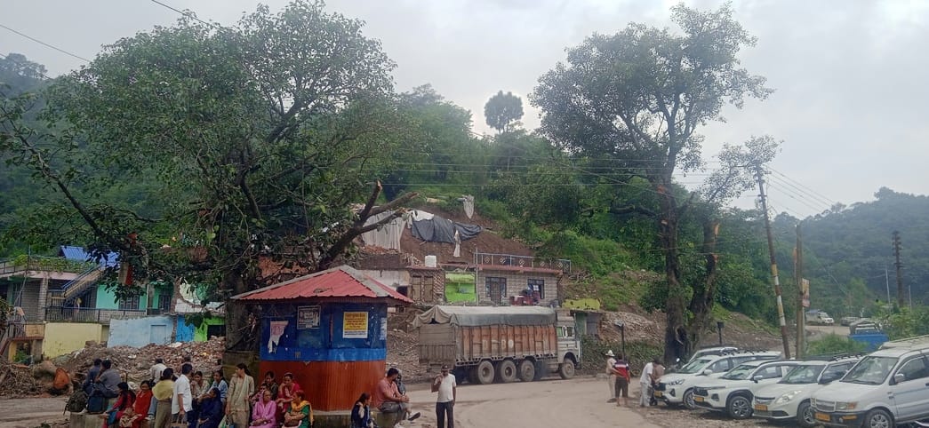 Two old trees of Brahmpukhar Chowk will be shifted, branches of one have been cut