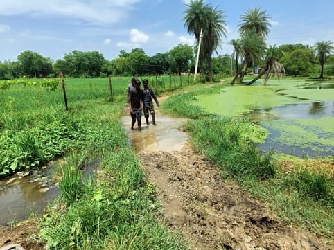 Houses collapsed due to rain, villagers asked for help