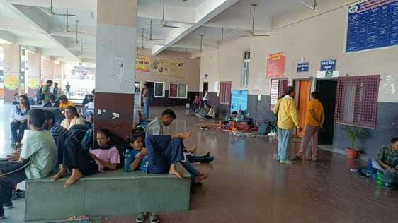 Trains are full, buses are yearning for passengers