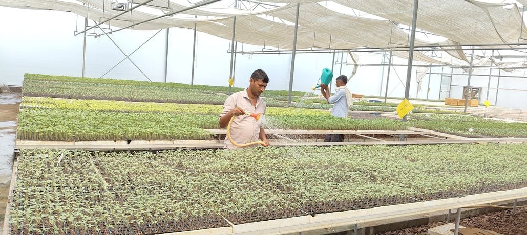 Integrated Horticulture Development Center is giving new direction to agriculture