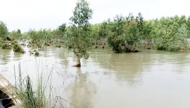 Pong's water level decreased, many villages of Fatehpur-Indora turned into islands