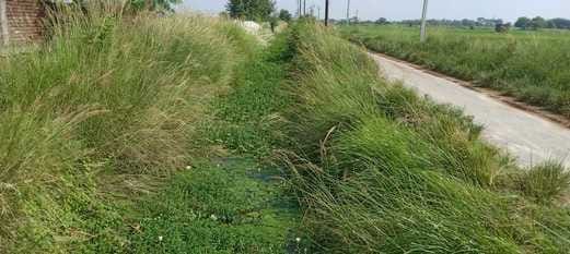 Three and a half kilometer canal is covered with grass and straw, 700 acres of crops are on the verge of drying up