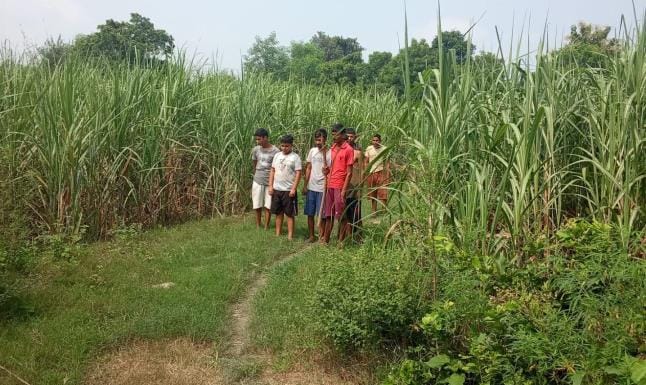 Dead body of a deer found in tiger affected area, panic increased