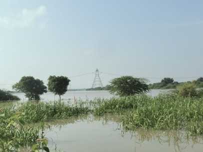 firozabad news flood