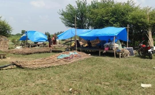 80 families became homeless due to the cutting, only 11 got compensation