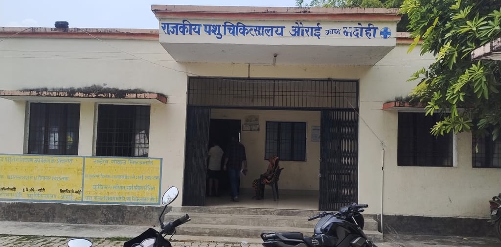 Animal Hospital: Lock found hanging somewhere, peon running somewhere