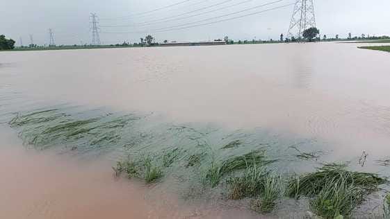 Water level in Ghaggar is 24 feet, roads are filled with water up to two feet