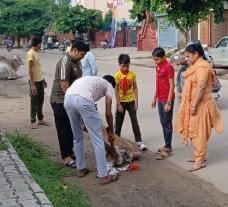 Scouts launched 15-day cleanliness drive