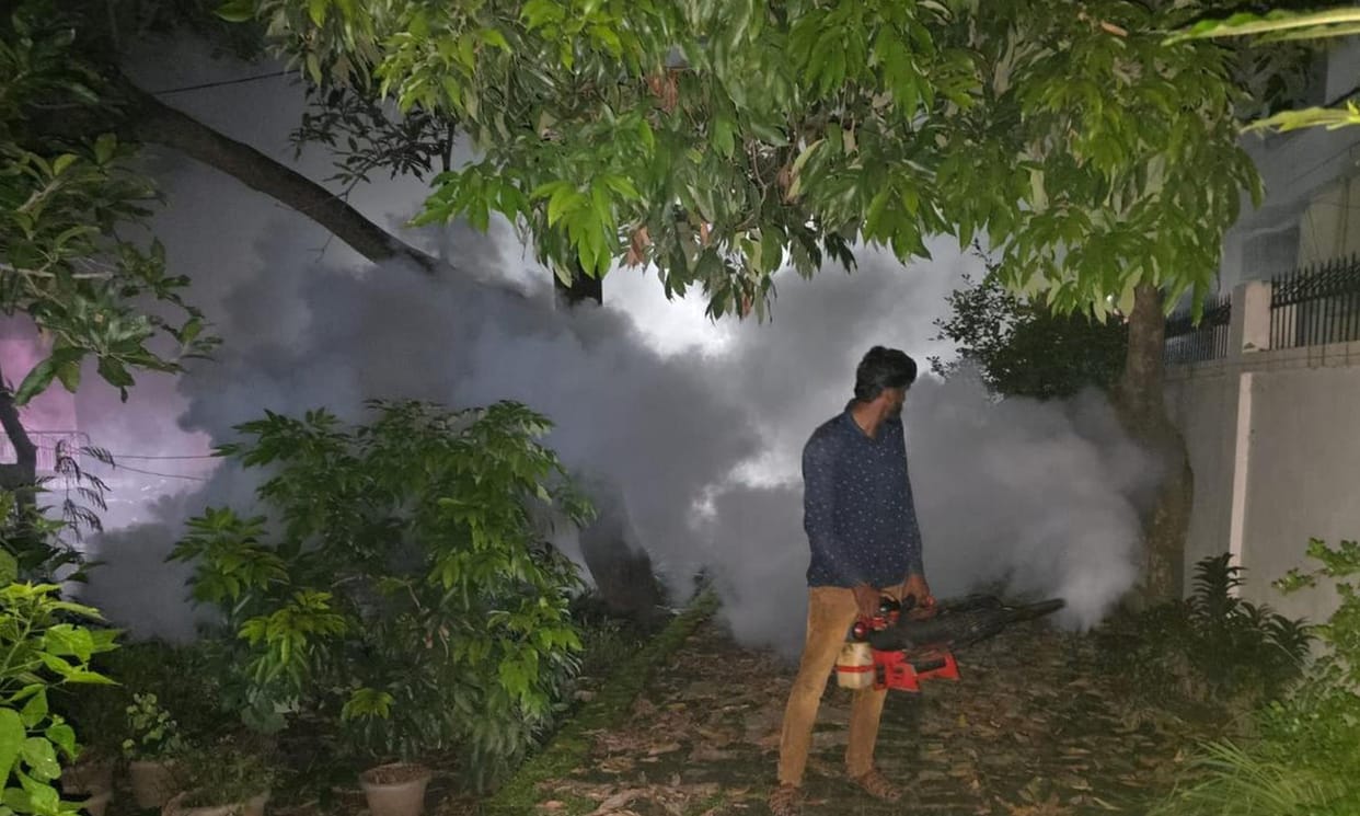 Ten more dengue patients found, 27 cases confirmed so far