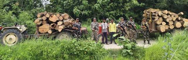 Siddharthnagar News : Tractor-trolley seized with 55 boats of wood