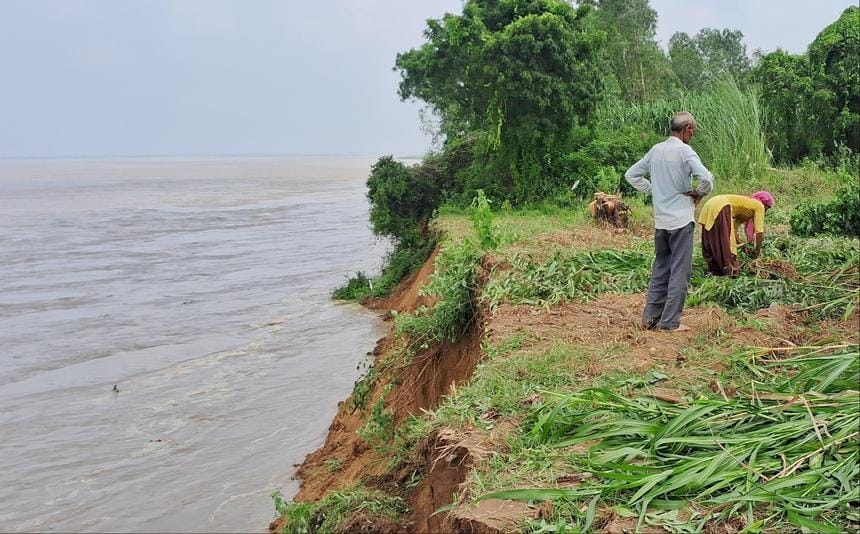 Fields are flowing in the Ganges, farmers are harvesting raw crops