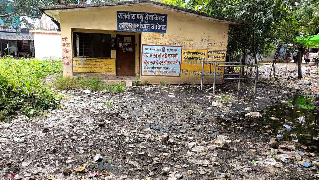 Animal service center closed for three years