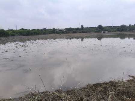 Yamuna floods swept away the hopes of farmers