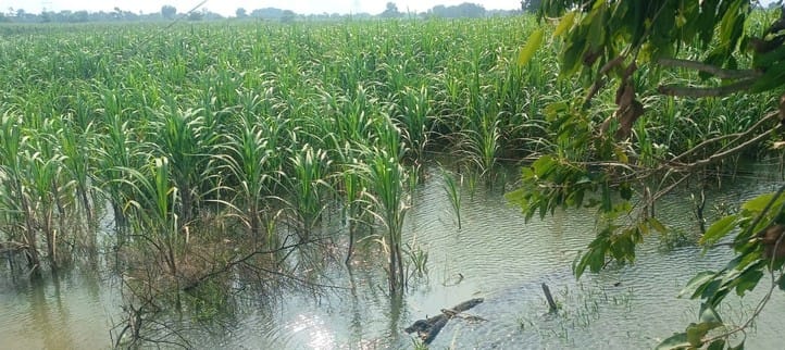 Flood water crisis continues as villages have reduced slightly