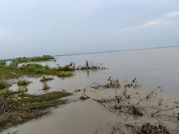 Water level decreased, crisis persists, paddy crops submerged, farmers in distress