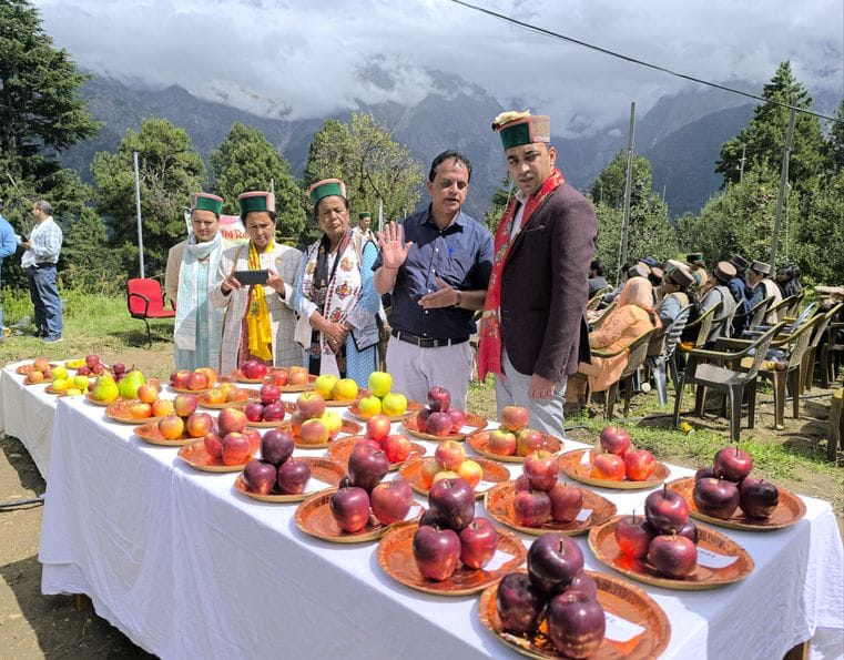 Exhibition of 41 varieties of apples held on Apple Day