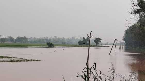 Electricity supply cut off in the area affected by Ghaggar river