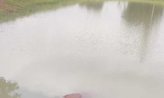 The body of an old man who had gone out in the evening was found floating in the pond in the morning