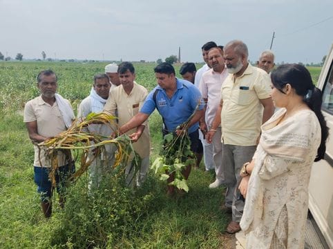 The problem of water drainage will be solved soon: CJM