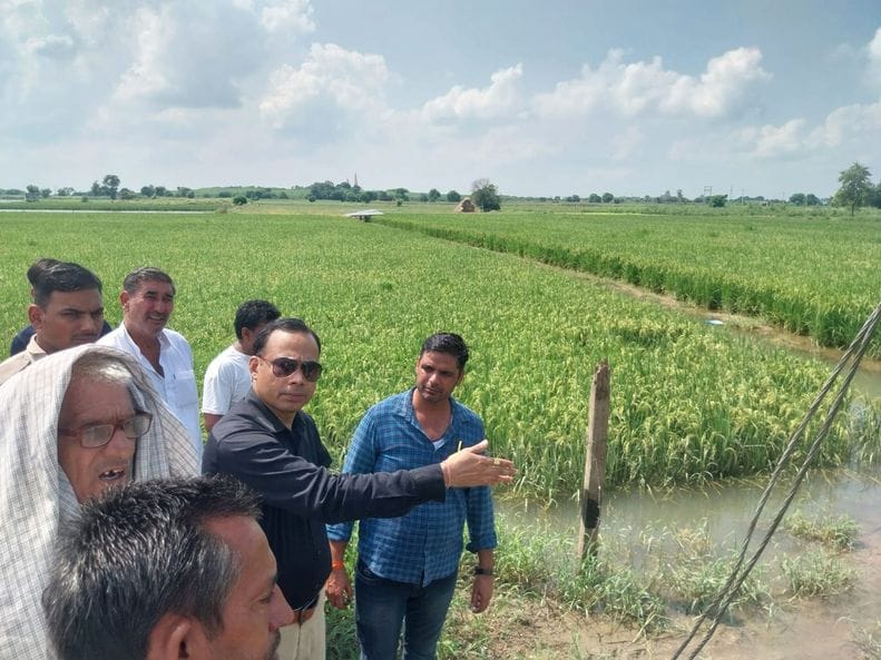 The problem of rainwater drainage will be solved soon: SDM