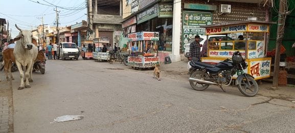 Street vendors are flouting municipal orders