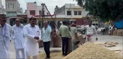 1509 paddy reached the new grain market