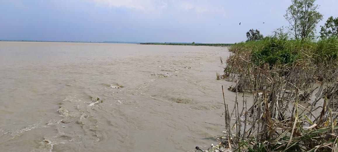 Hope for relief from Ganga's waves, erosion continues