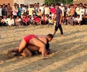 Raju won the wrestling by defeating Haryana's Gopal