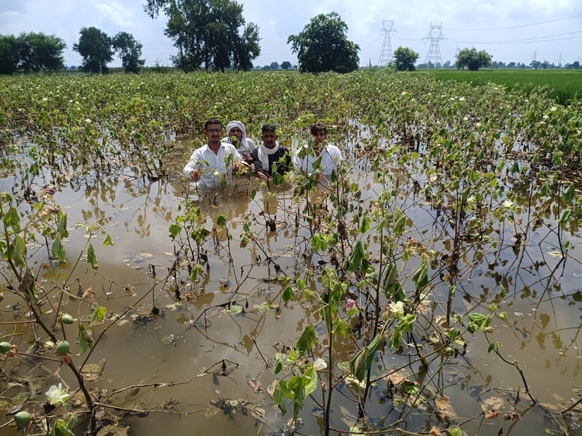 There is a possibility of 200 acres of crop getting damaged due to waterlogging in Gajuwala