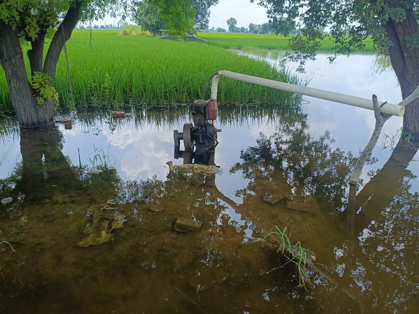 Technical hurdles in the process of recording details of damaged crops, farmers are worried