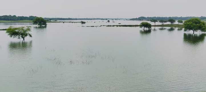 Yamuna water level decreased slightly, difficulties persist