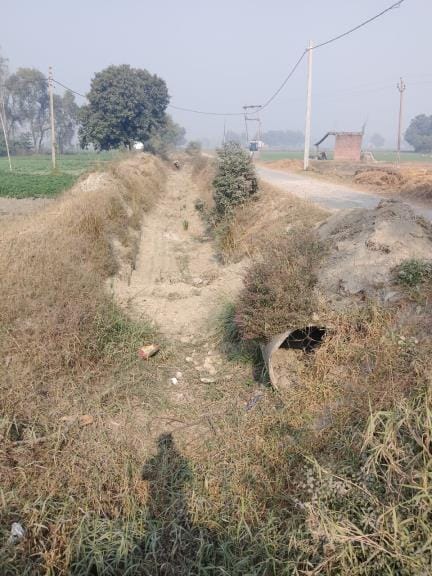 There are 343 canals in the district for irrigation, paddy crop is drying up due to lack of water