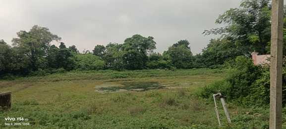 Development of ponds and water bodies in 1811 gram panchayats remains incomplete