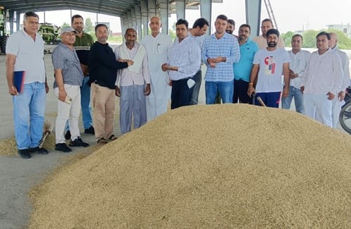 Paddy reached the market, sold for 1509 rupees per quintal at 3202 rupees